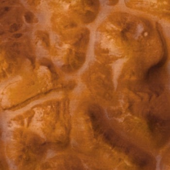 Mars/Spirit MicroImage