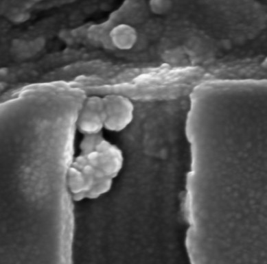 SEM Integrated Circuit